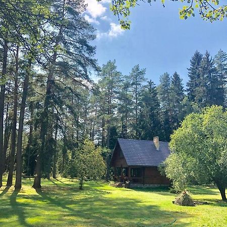 Rojaus Slenis Villa Druskininkai Eksteriør bilde