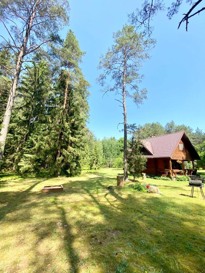 Rojaus Slenis Villa Druskininkai Eksteriør bilde