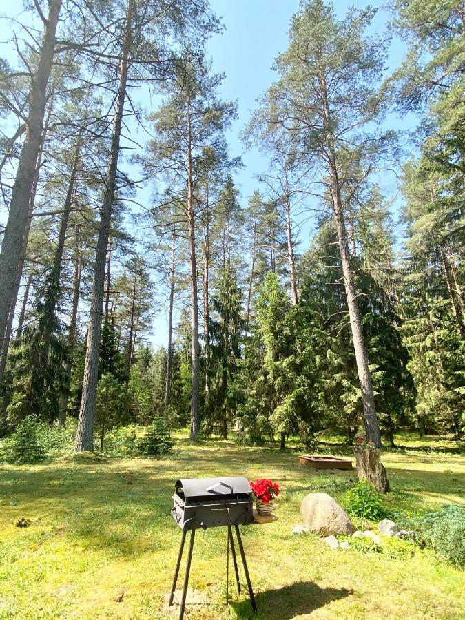 Rojaus Slenis Villa Druskininkai Eksteriør bilde