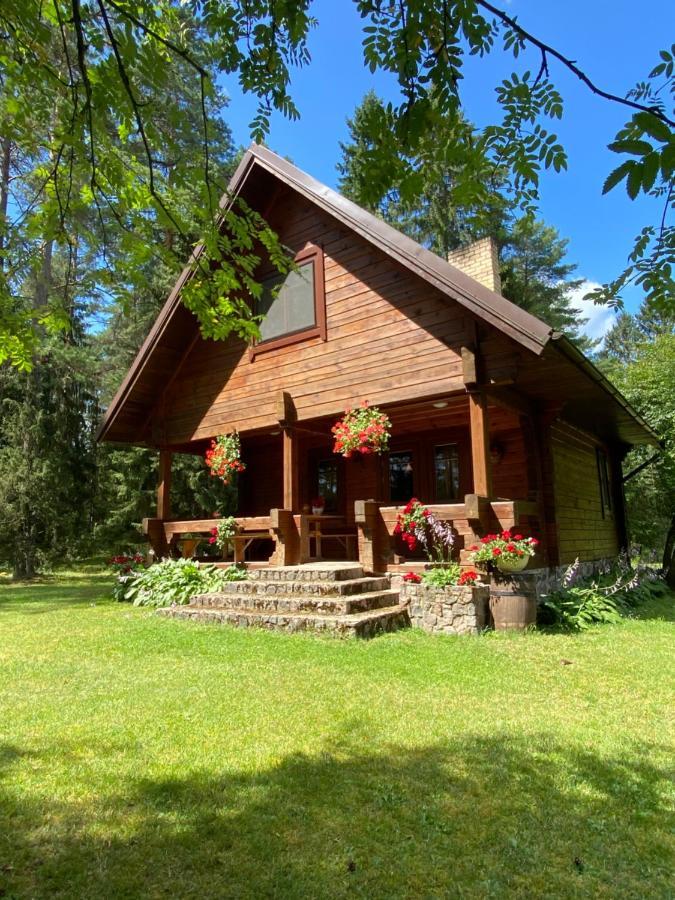 Rojaus Slenis Villa Druskininkai Eksteriør bilde