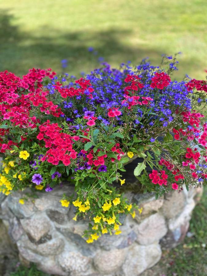 Rojaus Slenis Villa Druskininkai Eksteriør bilde