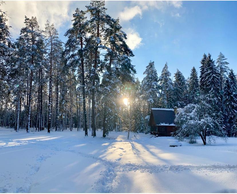 Rojaus Slenis Villa Druskininkai Eksteriør bilde