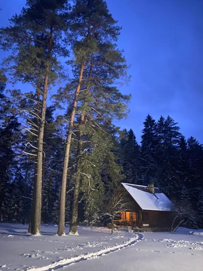 Rojaus Slenis Villa Druskininkai Eksteriør bilde