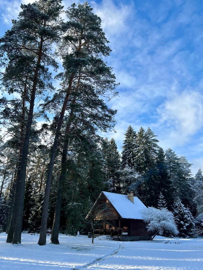 Rojaus Slenis Villa Druskininkai Eksteriør bilde