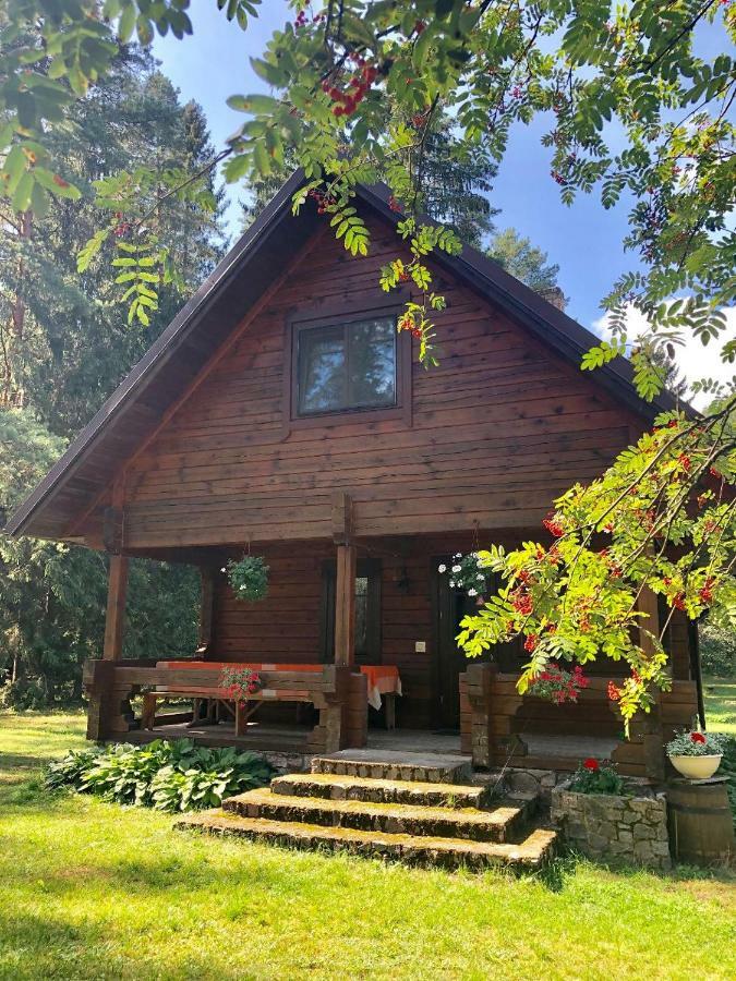 Rojaus Slenis Villa Druskininkai Eksteriør bilde