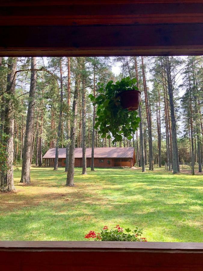 Rojaus Slenis Villa Druskininkai Eksteriør bilde