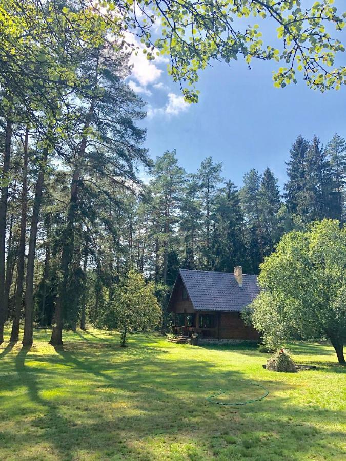 Rojaus Slenis Villa Druskininkai Eksteriør bilde